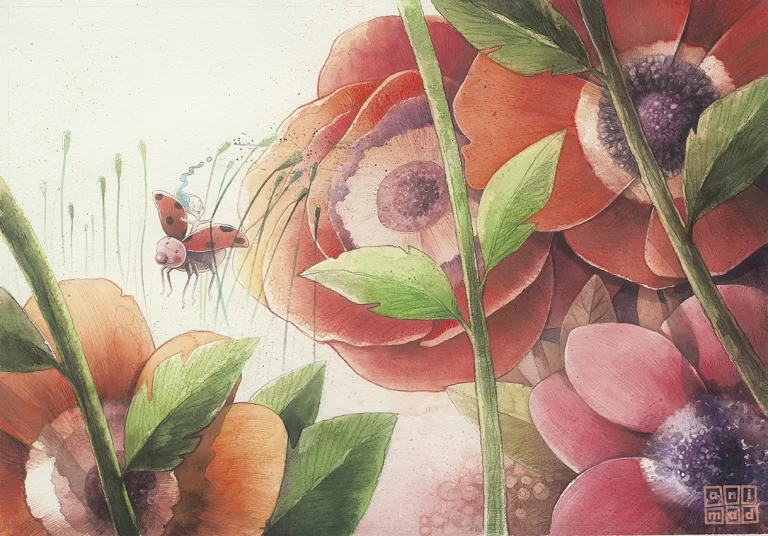 Children's Book Illustration: Dreamy watercolor illustration of a dewdrop sitting on a ladybug, flying across red poppies, with red hues. Made by ANIMaD in 2011