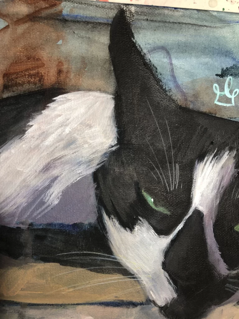 Close up of acrylic painting showing a black and white cat- by ANIMaD